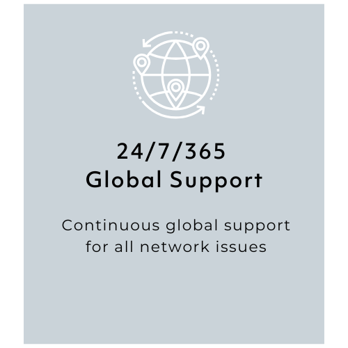 a globe icon and text